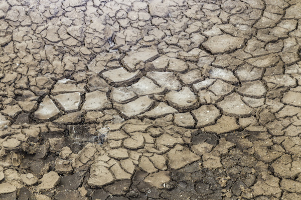Picture of cracked dried up mud